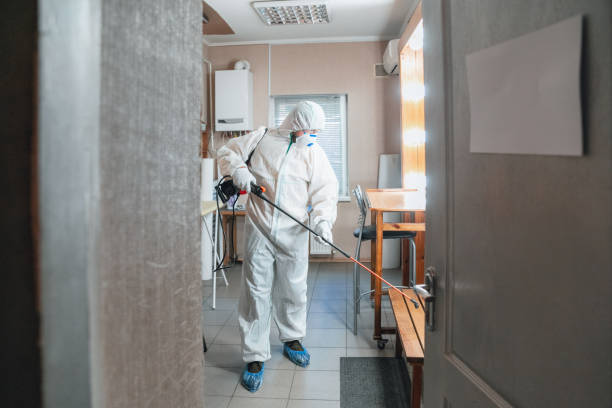 Best Asbestos and Lead Testing During Mold Inspection  in Foley, AL