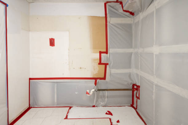 Best Attic Mold Removal  in Foley, AL