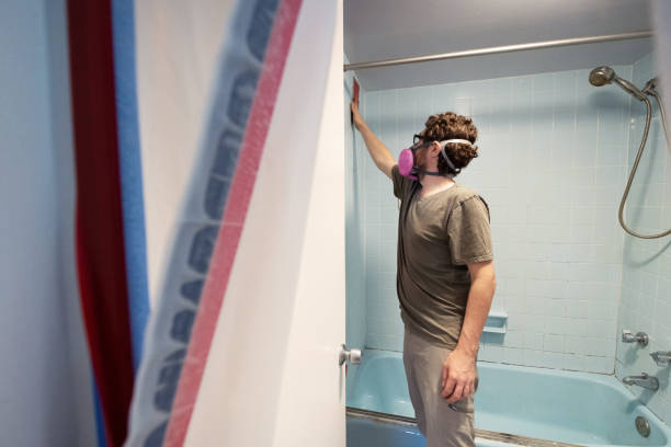 Best Attic Mold Removal  in Foley, AL